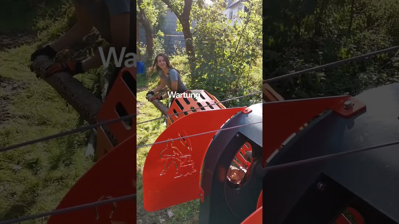 So sparen Sie bis zu 90 % bei Brennholz-Kosten 🔥