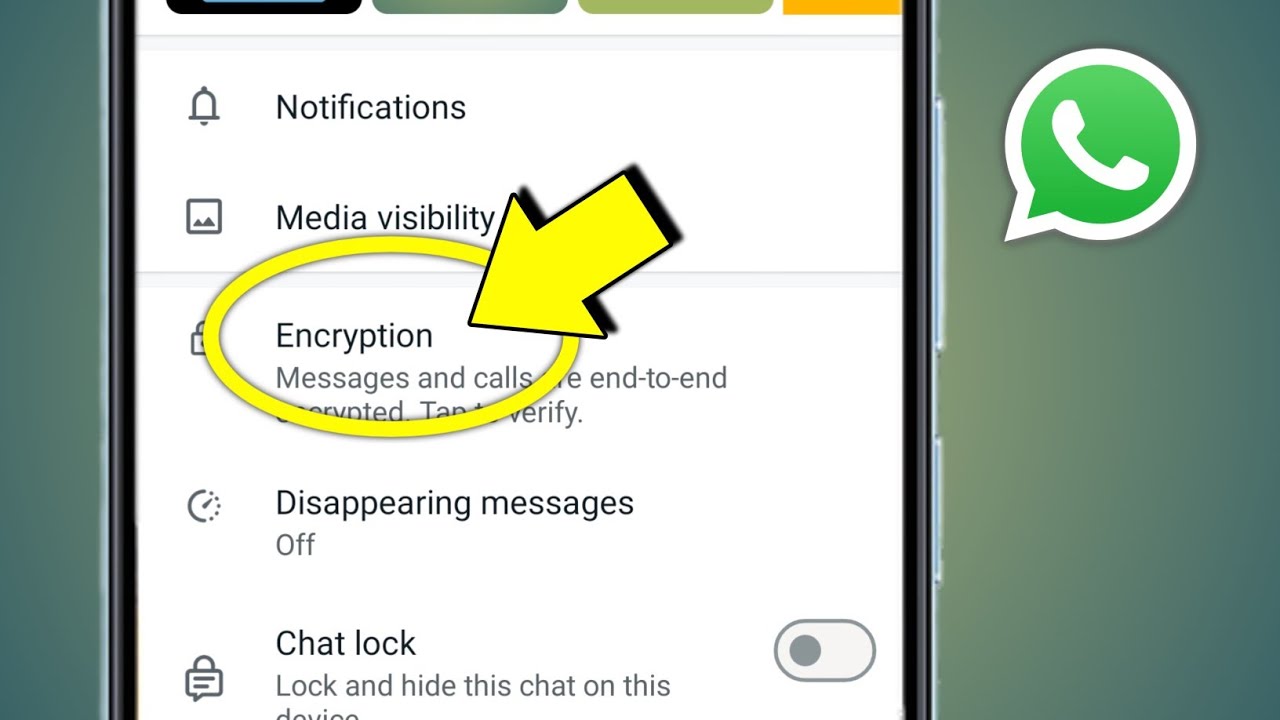 WhatsApp Encryption Explained: How Your Messages Stay Secure π