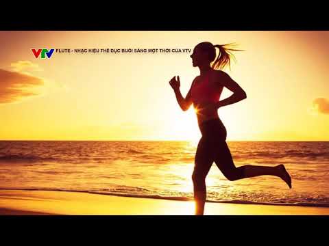 Nhạc hiệu thể dục buổi sáng trên VTV1 một thời Barcode Brothers Flute
