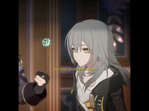 Normal stelle behavior | © dillongoo