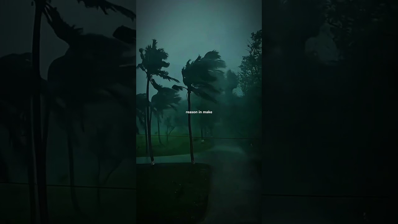 Memories by Conan Gray 🎶 | Lyrics & Aesthetic Video for WhatsApp & Reels