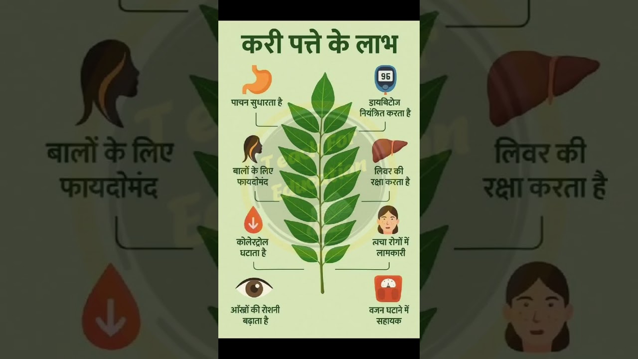 कड़ी पत्ते के अद्भुत फायदे: जानिए स्वास्थ्य और जीवनशैली में सुधार के आसान तरीके 🌿