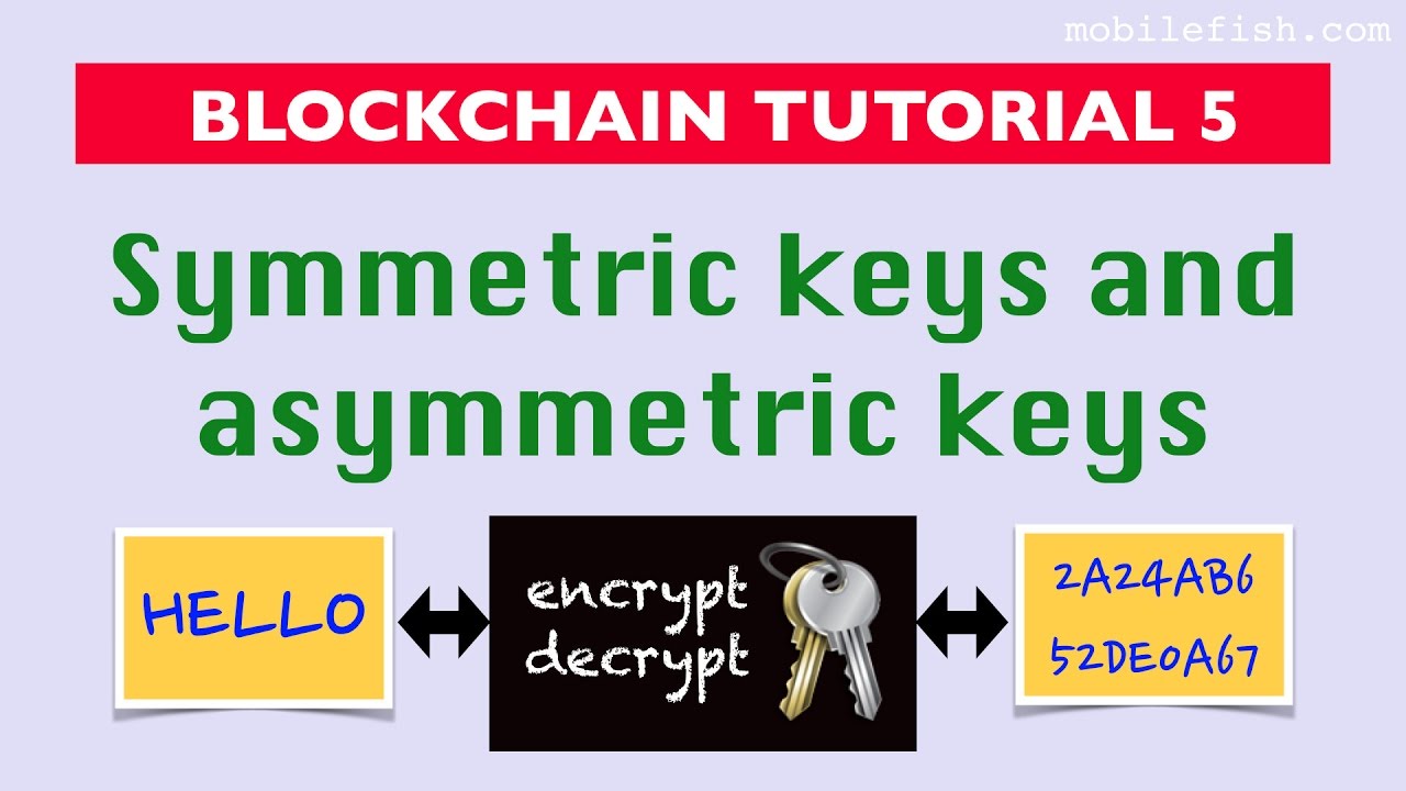 Blockchain Tutorial 5: Understanding Symmetric and Asymmetric Keys