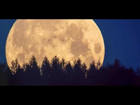 Full Moon Calendar 2025: When to Watch 🌕