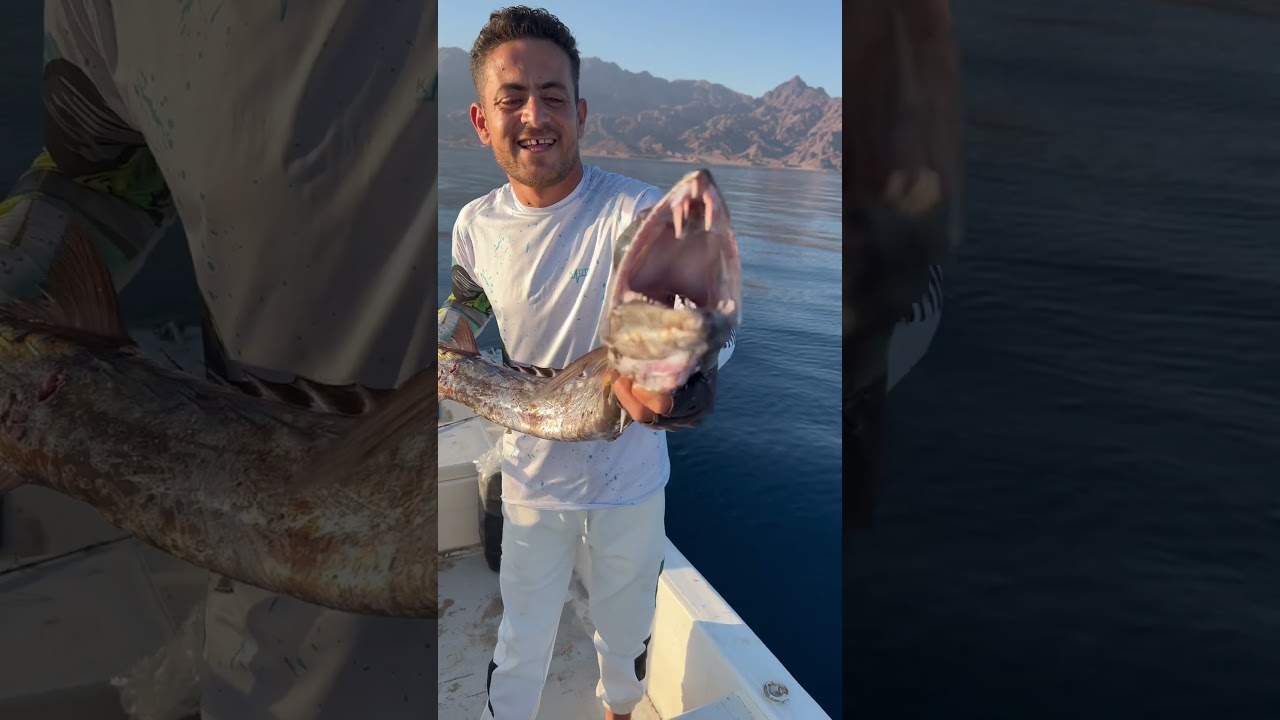 أسماك أعماق خليج العقبة الرعبية 🐟