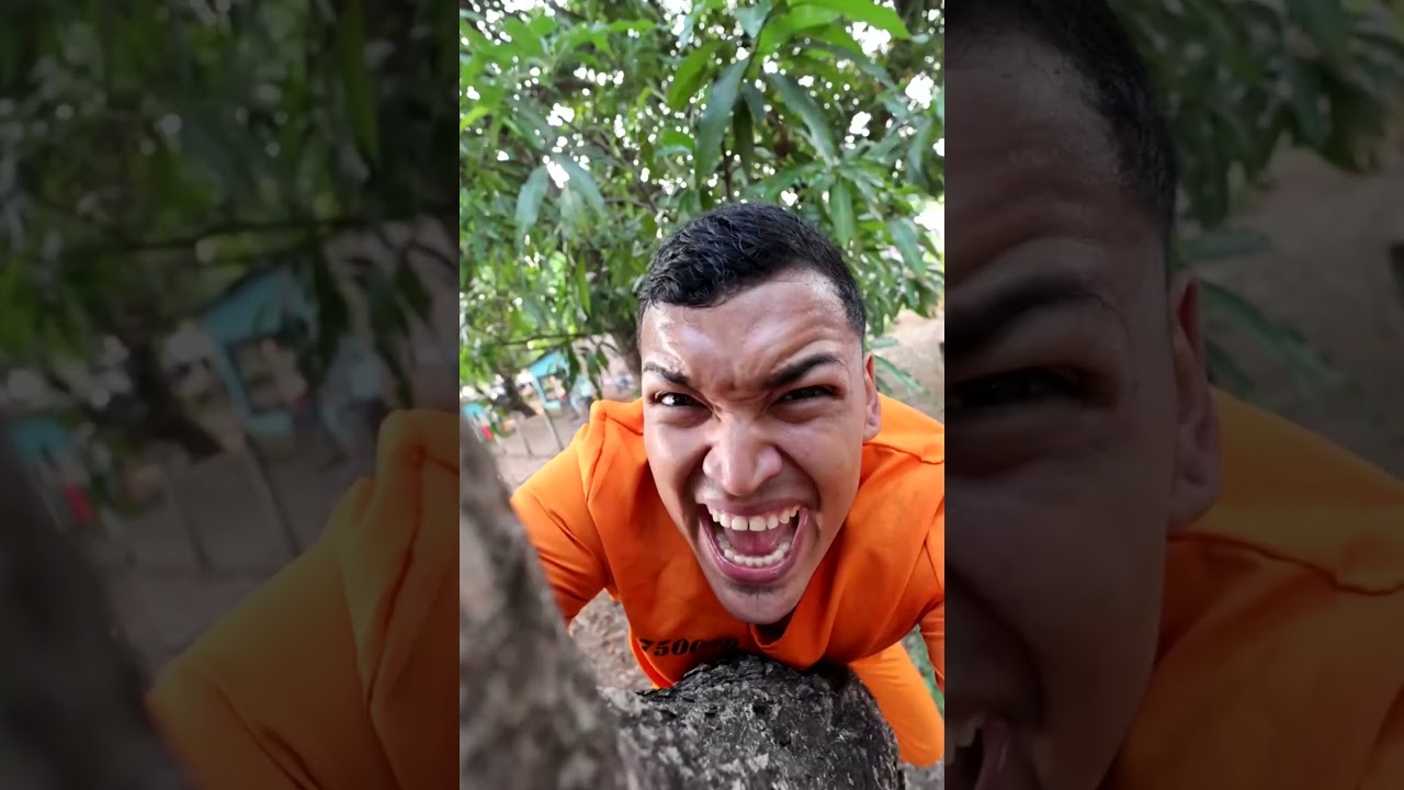 El Loro se Escapó 🦜