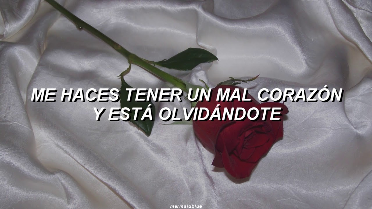 T-MAX - Fight The Bad Feeling & Boys Before Flowers (ES) 🎶