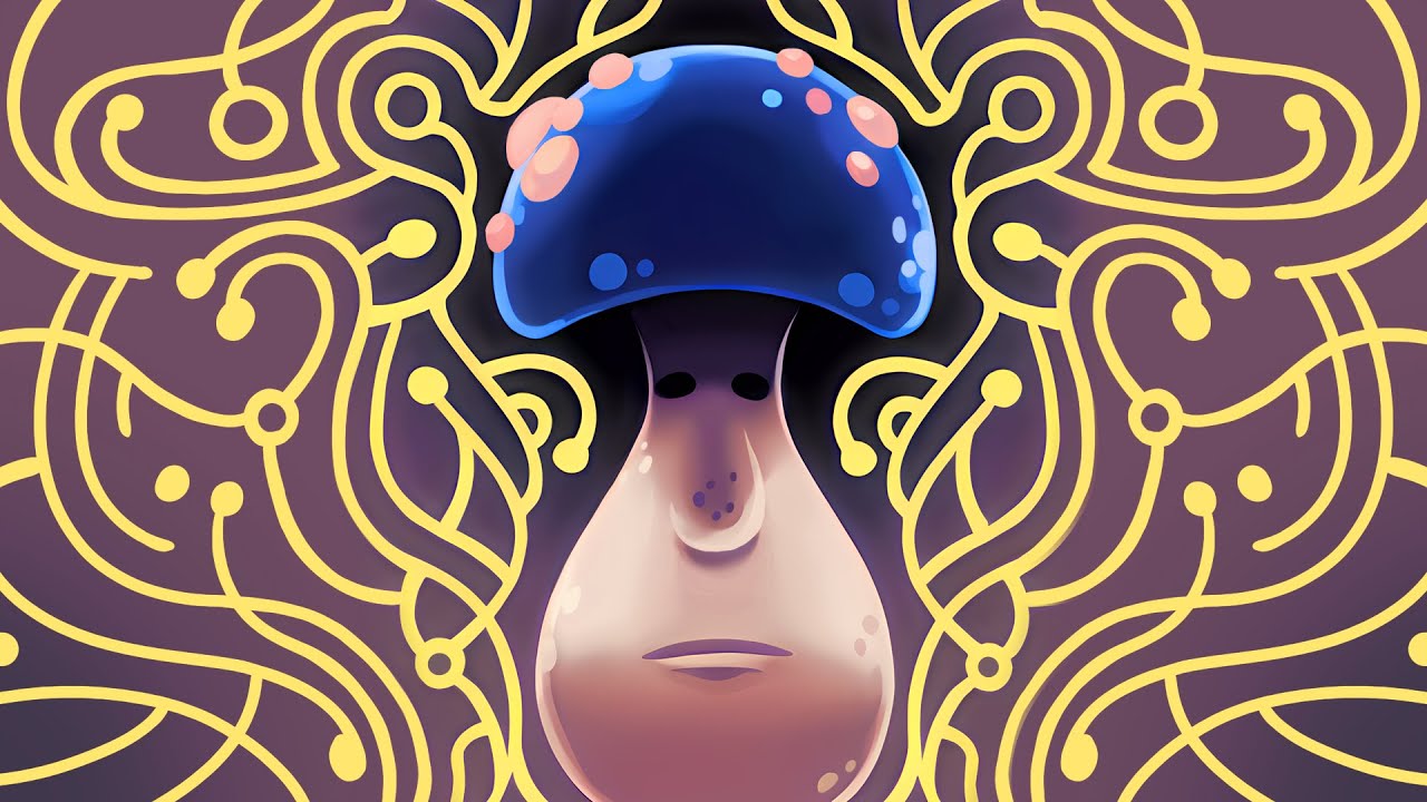 Hollow Knight: Silksong - Passing of the Age Ending Guide