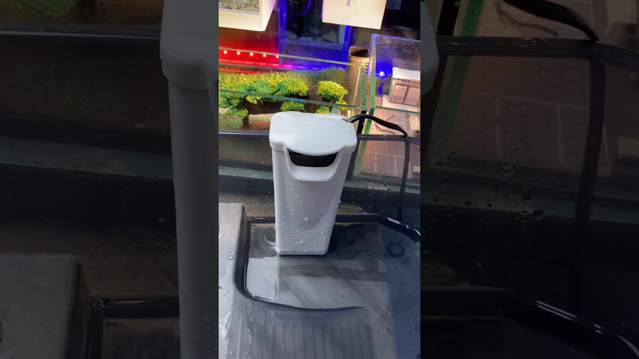 Discover the Best Filter Kura for Clean & Healthy Aquarium Water 🐟