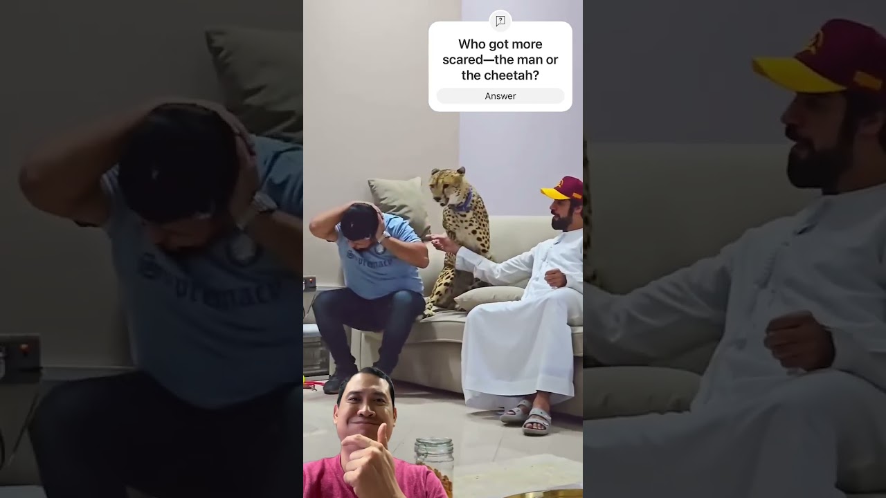 When a House Cheetah Gets Spooked 😱