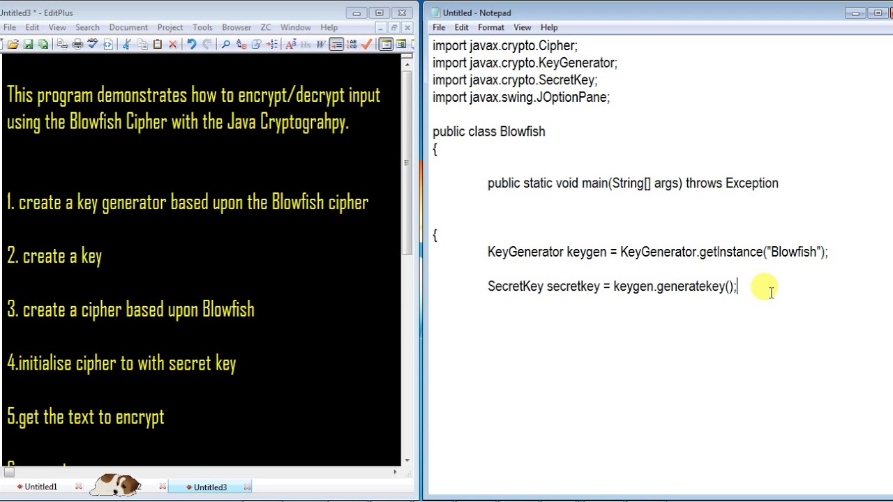 Master BlowFish Encryption: A Step-by-Step Guide ๐