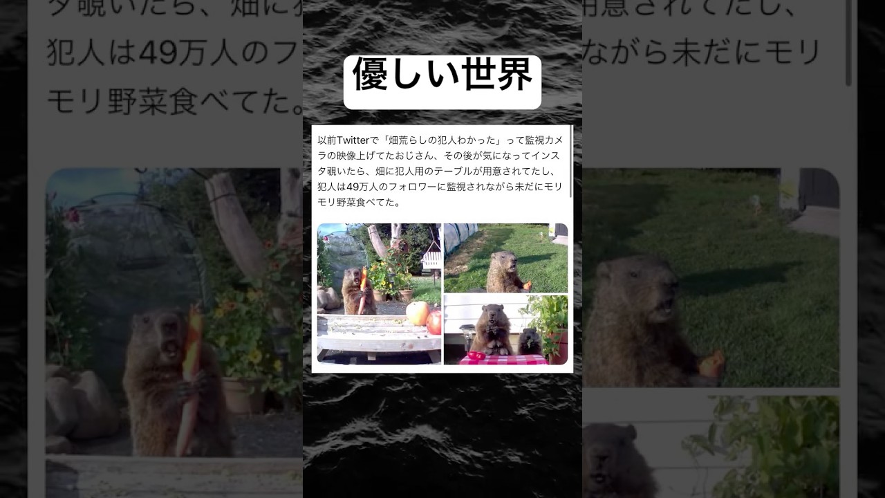 おじさんの優しさに笑顔😊 #shorts