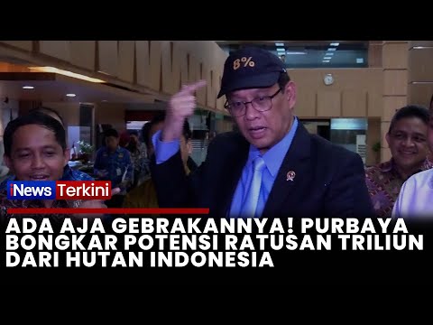 Purbaya & Raja Juli Teken MoU Ratusan Triliun! Negara Siap Panen dari Sektor Kehutanan