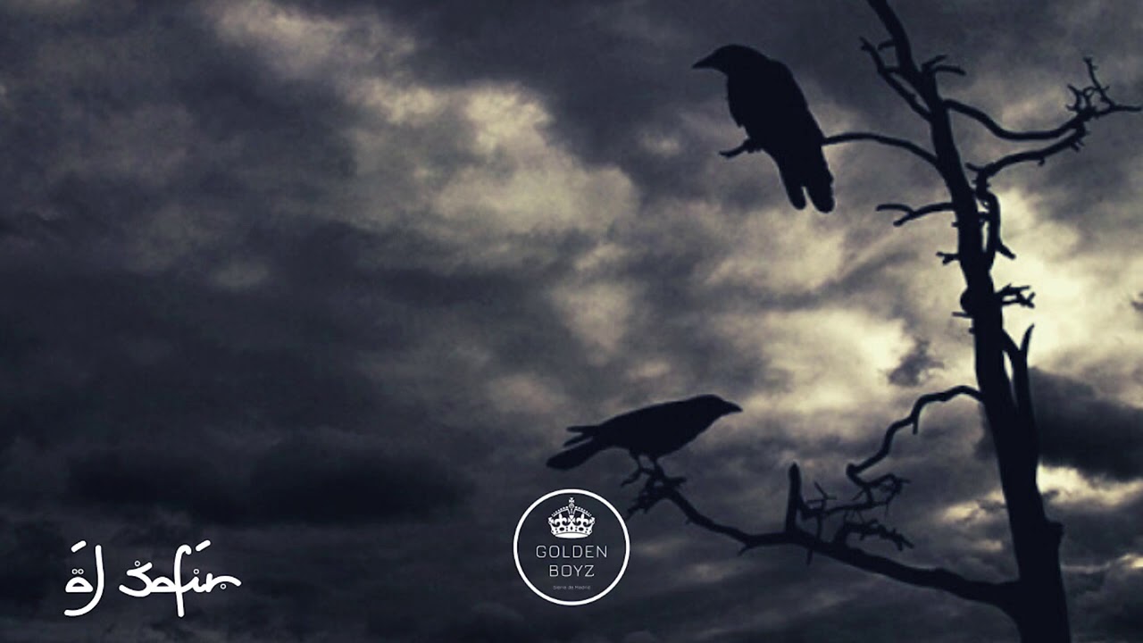 Shars / 2020 by Baker 🎶