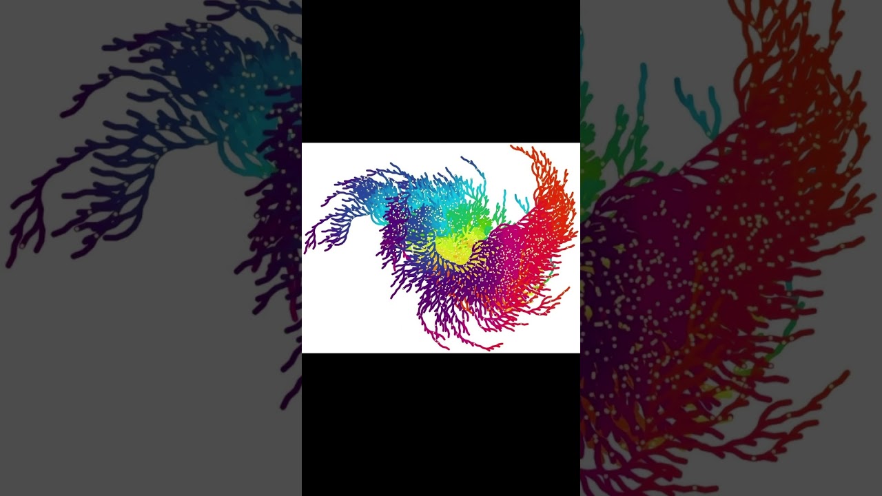 The Most Challenging Math Concepts You Must Know 📚