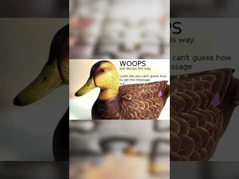 What Was Cicada 3301? (The Most Popular ARG) #cicada3301 #ARG #ARGs  #cicada #shorts #fyp