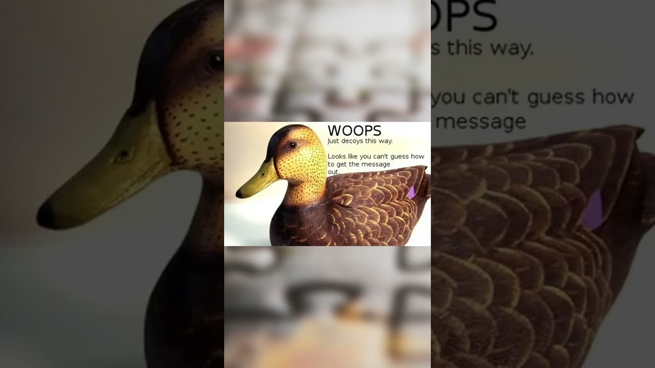 Understanding Cicada 3301: The Iconic Alternate Reality Game