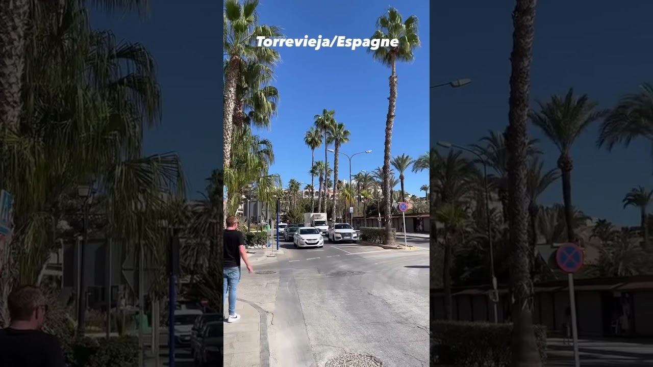 Espagne : Soleil, Palmiers et Mer! 😎