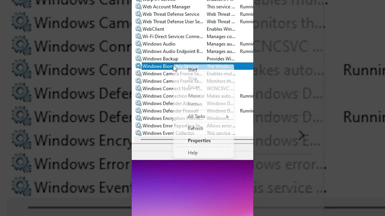 Enable Windows Biometric Service on Windows 11