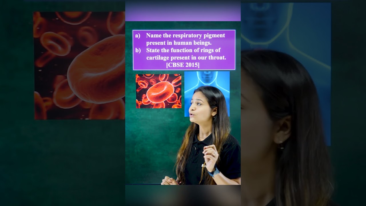 Fatafat Objectives Ep-22: Life Processes | Class 10 CBSE Biology MCQs & PYQs 📚