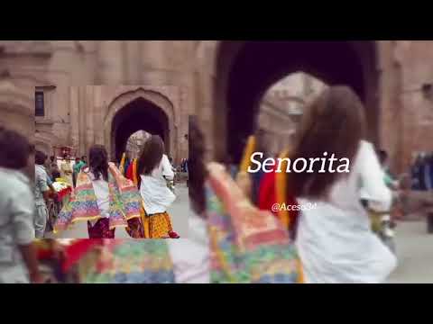 Desi Travel Playlist 🎶