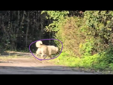 빨리 잡아야 한다