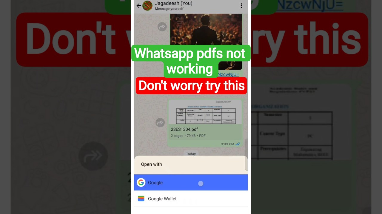 Why PDF Files Are Not Opening in WhatsApp | Troubleshooting and Fixes
