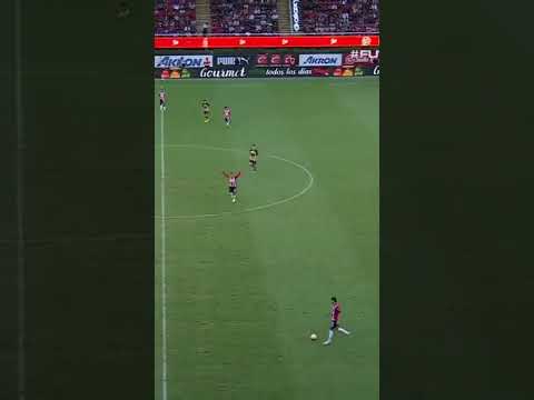 EL MEJOR GOL DEL TORNEO! Chivas 3-1 Pumas