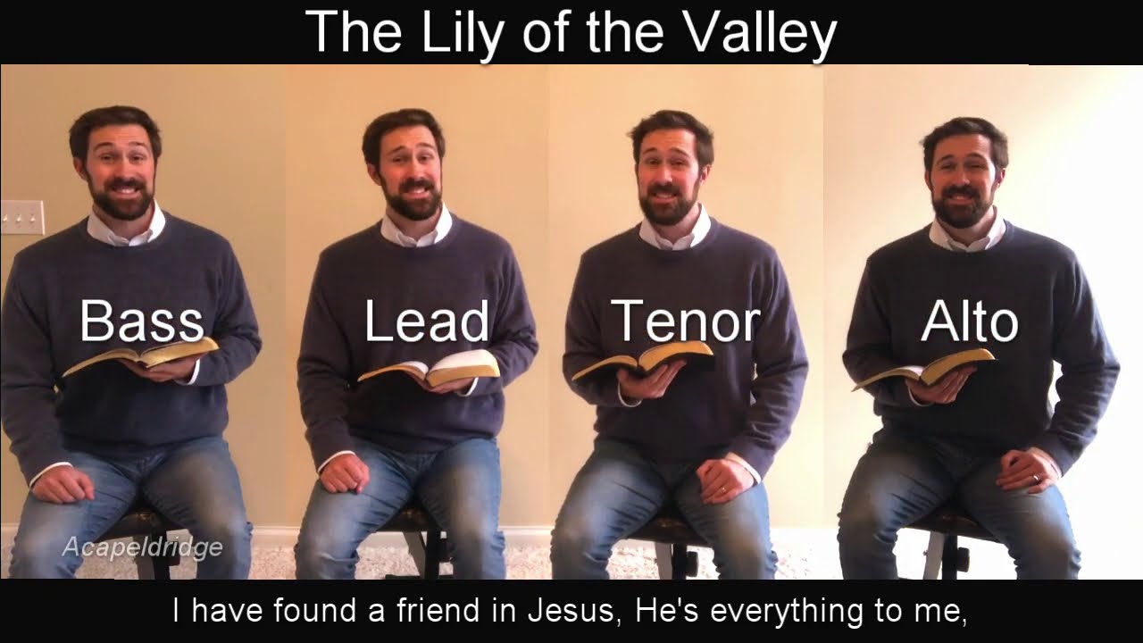 The Lily of the Valley - Lyrics and Music by Charles Fry