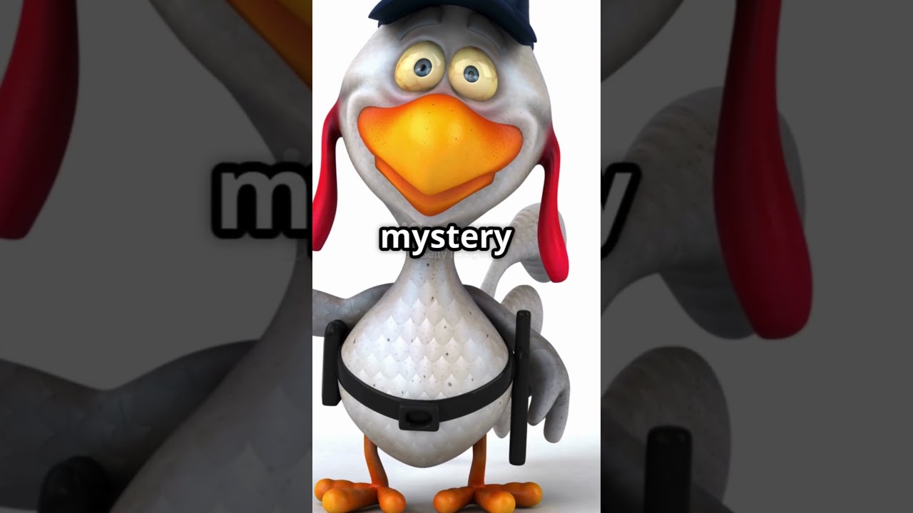 Top 5 Bizarre Laws That Still Exist