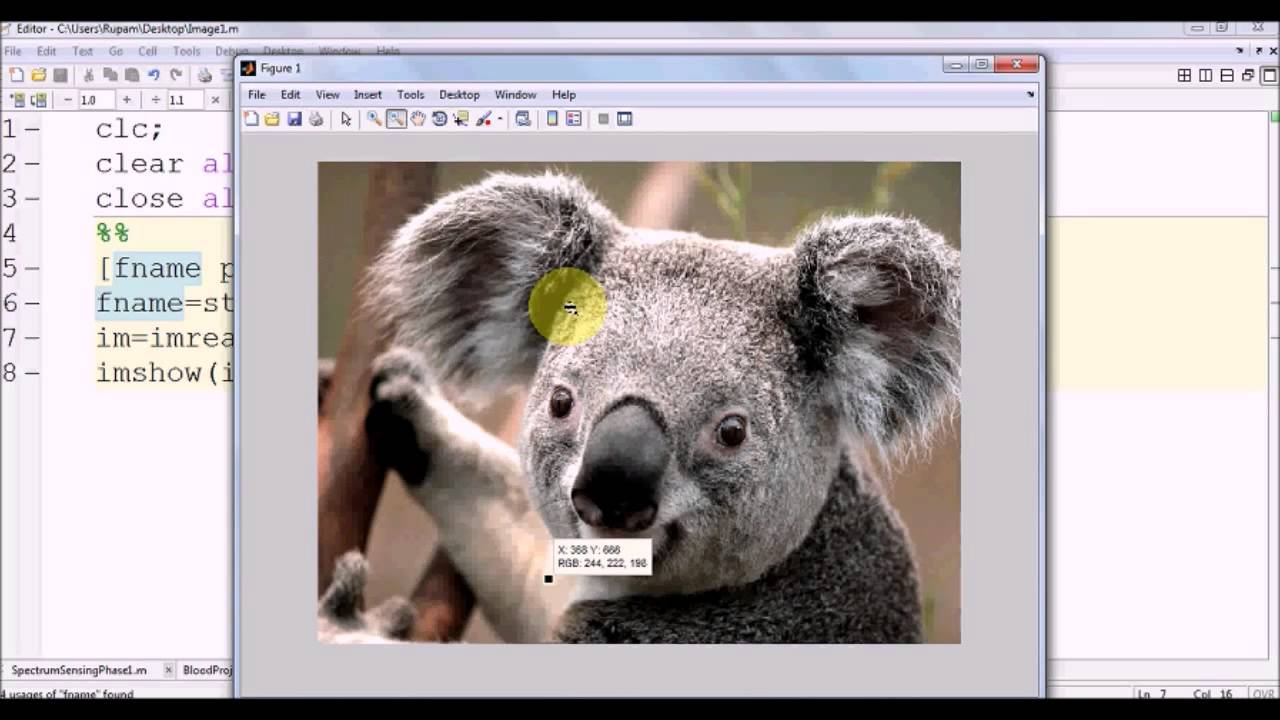 Image Processing Fundamentals in Matlab Part 1: Pixels, Color Channels, and Gray Scale Conversion