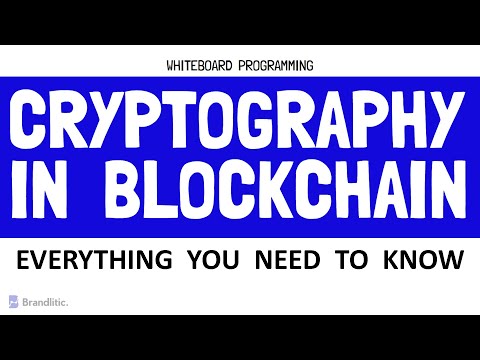 Introduction to Cryptography in Blockchain Explained | Blockchain Cryptography