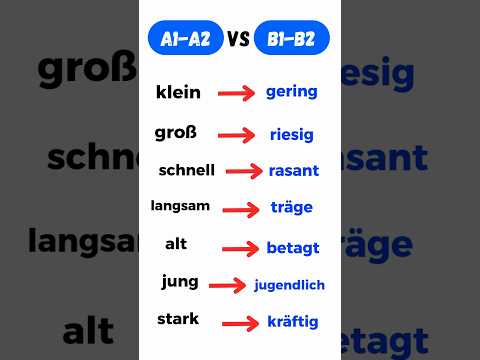 Deutsch Lernen: Wichtige Wörter A1-A2 & Synonyme B1-B2 für mehr Wortschatz 🚀