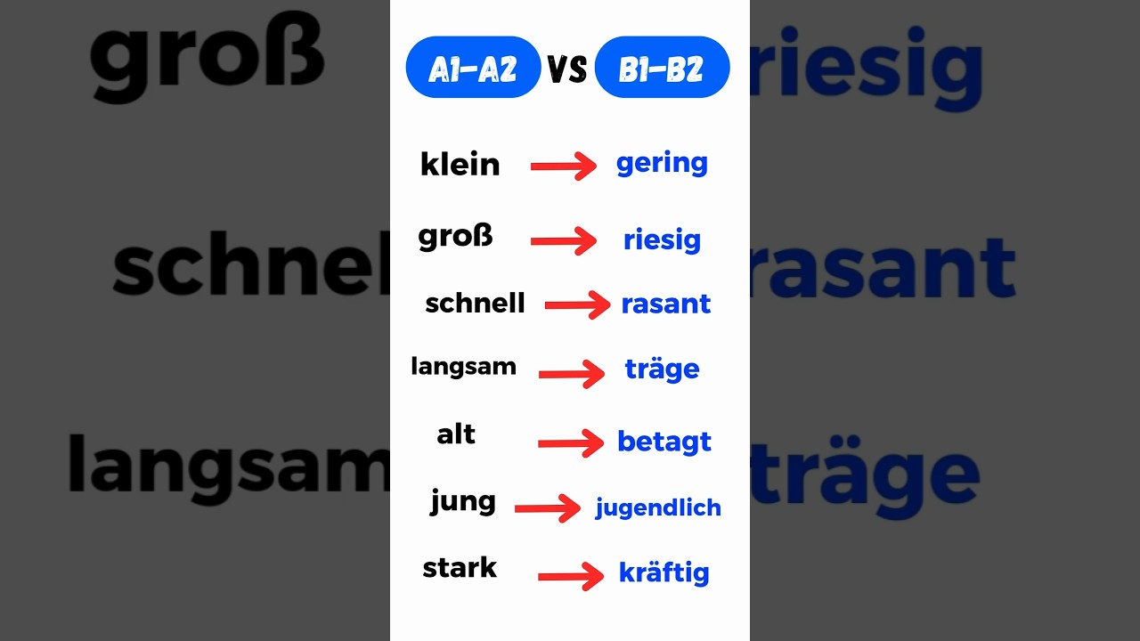 Deutsch Lernen: Wichtige Wörter A1-A2 & Synonyme B1-B2 für mehr Wortschatz 🚀