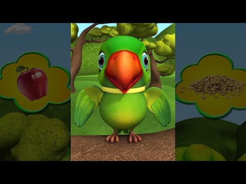 Main Tota, मैं तोता #shorts