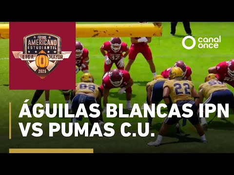 FBA Liga Mayor 2025: Águilas Blancas vs Pumas C.U. 🏈