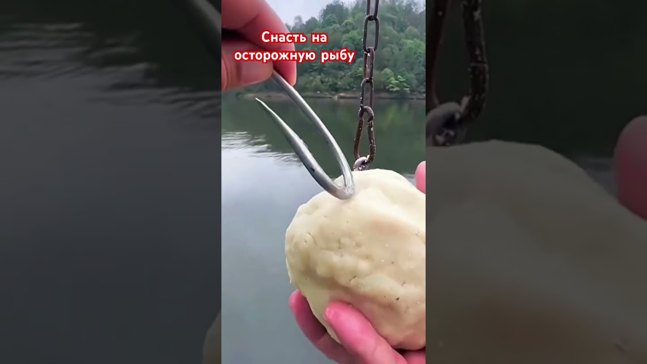 Снасть для осторожной рыбы 🎣