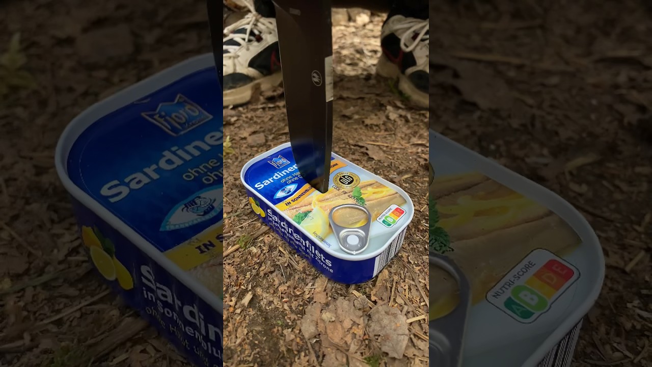 Essential Bushcraft Skills for Camping & Survival 🏕️