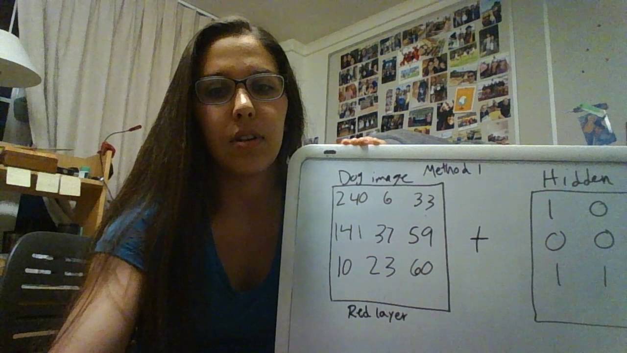 Eng 6 Steganography Project at UC Davis | MATLAB GUI Demo 🔍