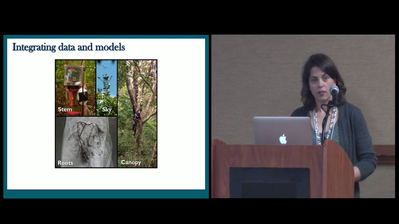 Elizabeth Agee: Roots and Forest Drought Resilience 🌳