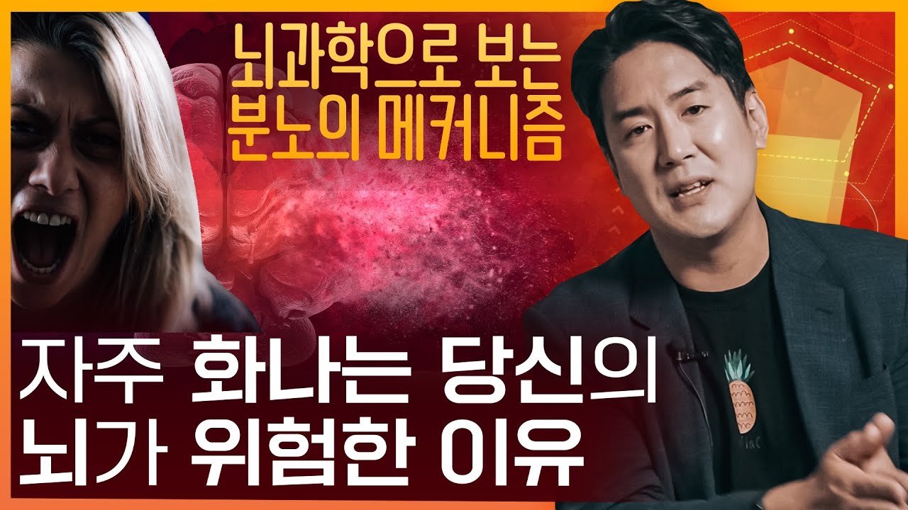 자주 화내는 당신에게 필요한 뇌과학의 비밀 🔥 | 분노 조절의 핵심 메커니즘
