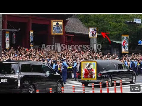 Muriel Furrer Last Funeral đ