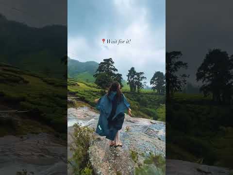Kerala's hidden gem - Suryanelli in the Monsoon! 🌧 #travelshorts #travel #tanyakhanijowshorts