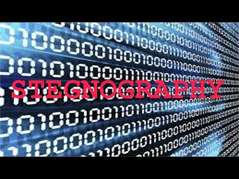 What is Steganography ?? | Everything about Steganography | How to hide text | Cyber Nation