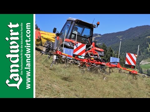 Fella Alpin Kreiselheuer TH 431 DN | landwirt.com