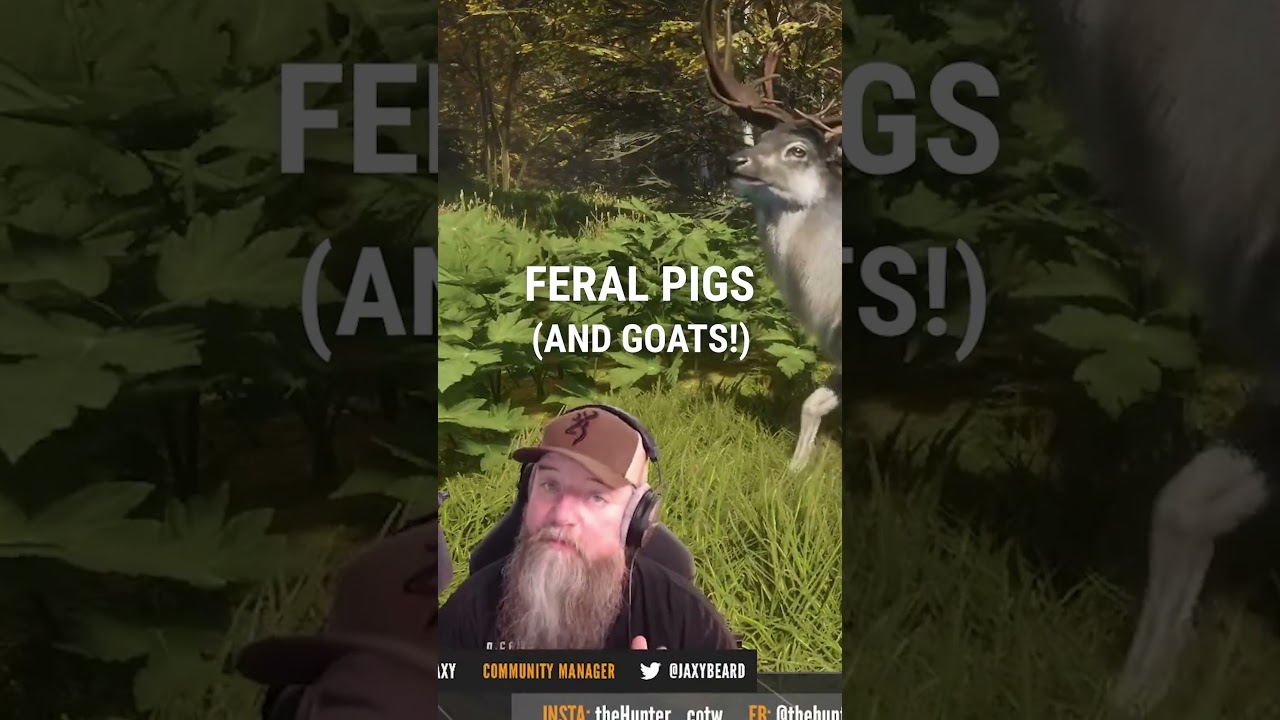 Emerald Coast Species Revealed in theHunter COTW 🌊