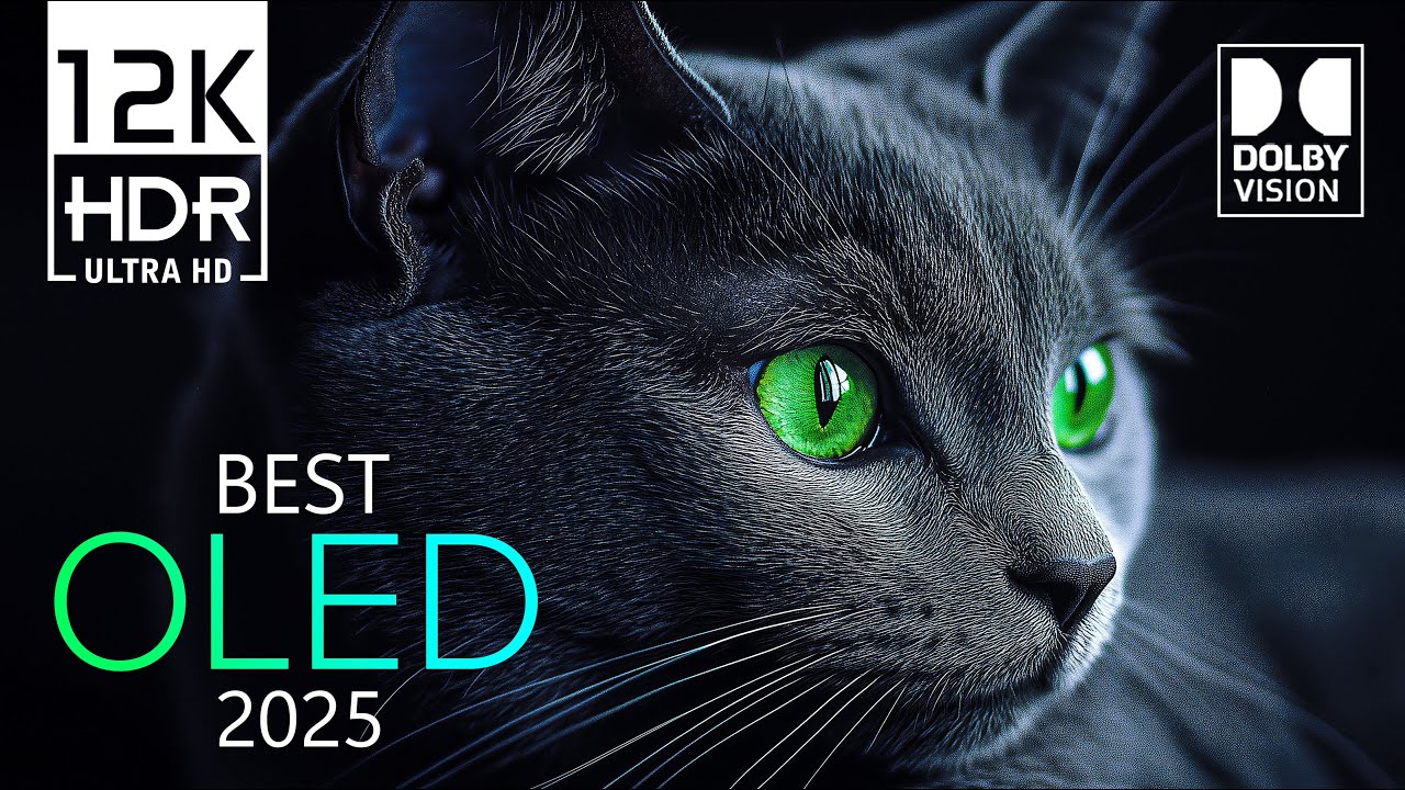 Ultimate Dolby Vision 12K HDR Ultra HD 240 fps Video Showcase