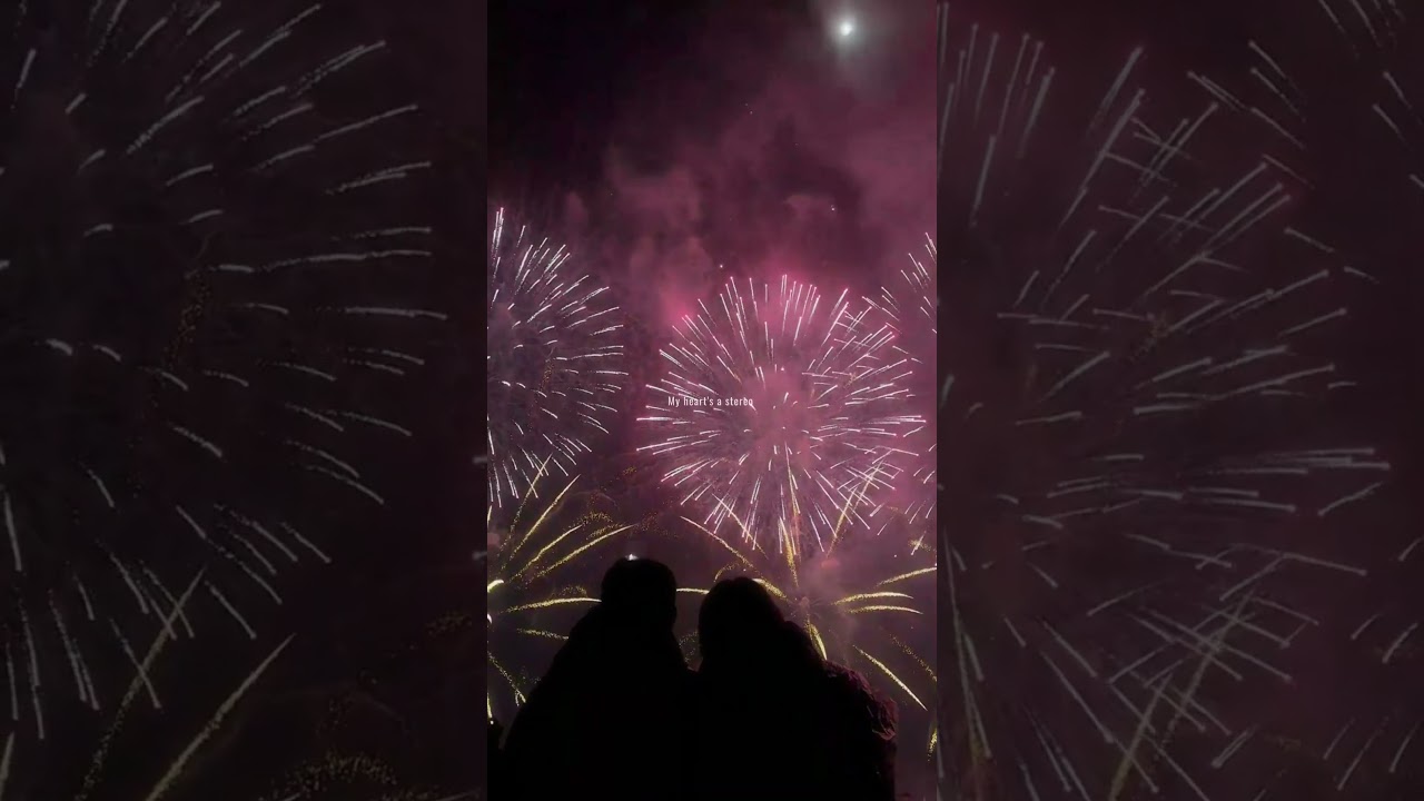 Stereo Hearts - Gym Class Heroes feat. Adam Levine 🎶