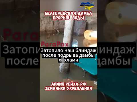 Затопление армии РФ после Атак Белгородской Дамбы #армиярф #сво #армияроссии #приколы #историявойны