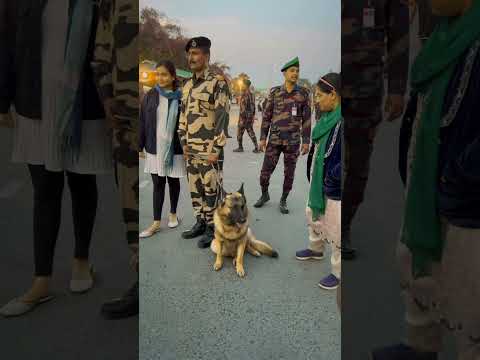 #bgb vs BSF #yt #video #shorts #viralvideos #content #bodar #youtubeshorts #dog squad #bangladesh